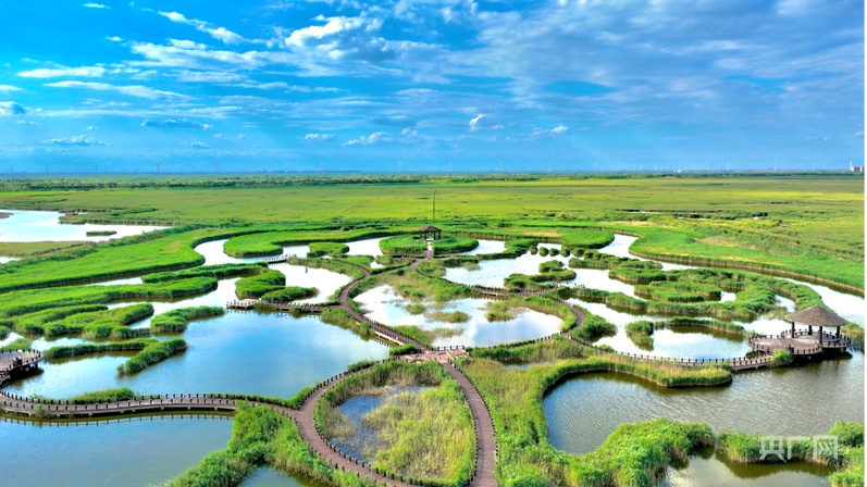 行军海岸线｜从巡逻车到“AI眼”世界自然遗产南达干湿地生态保护