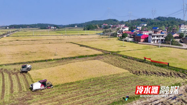 微信图片_20251120101151_53_252.jpg 微信图片_20251120101151_53_252.jpg