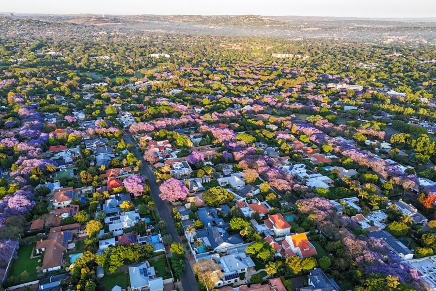 热点追踪|第二十次G20峰会