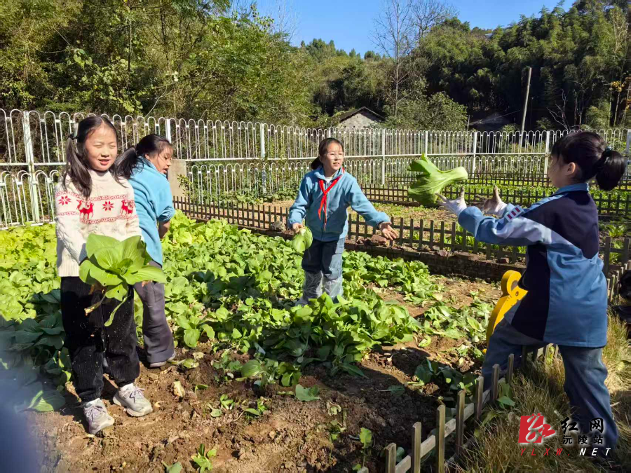 微信图片_20251120151353_30_167.jpg 微信图片_20251120151353_30_167.jpg