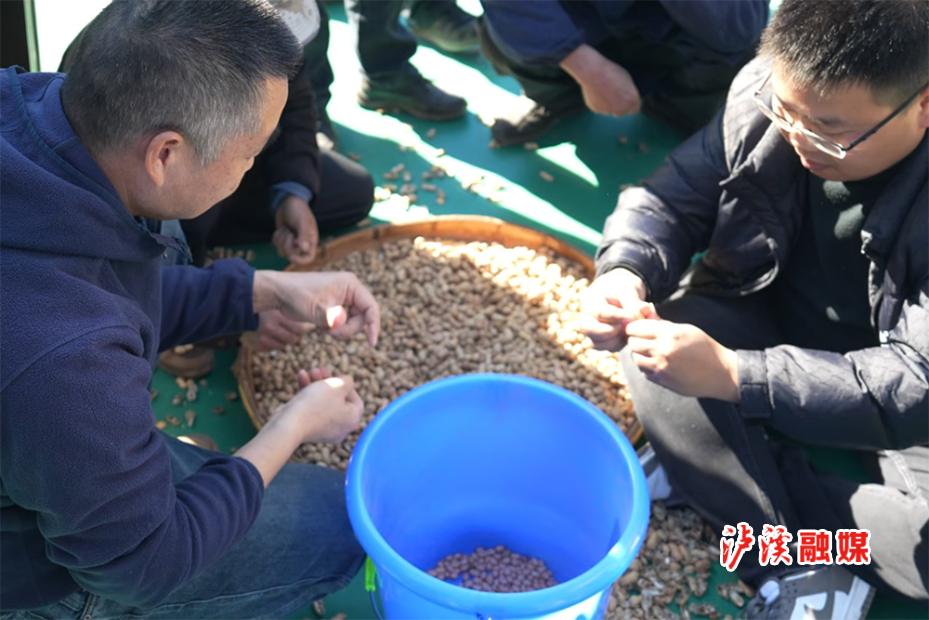 白羊溪菊花运动会.jpg2.jpg3.jpg4.jpg 白羊溪菊花运动会.jpg2.jpg3.jpg4.jpg