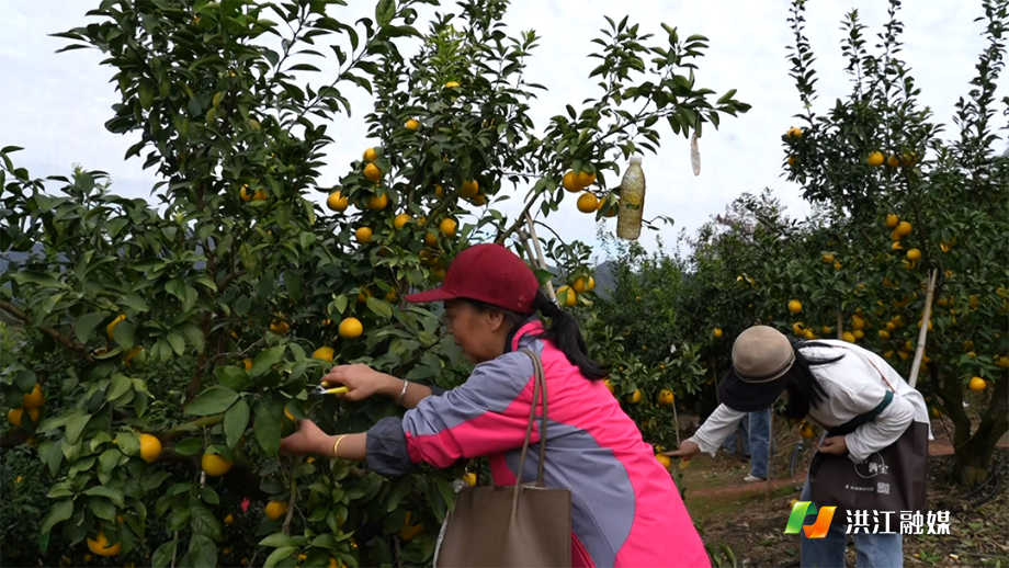 11月22日 (2)(4).png