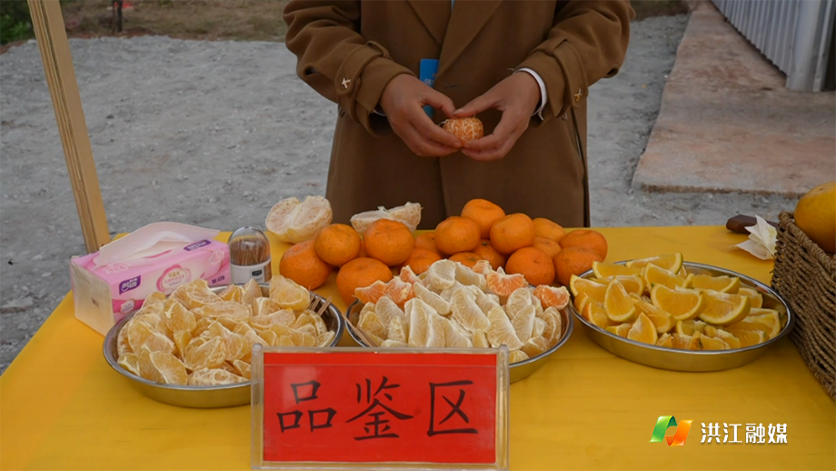 11月22日 (2)(5).png