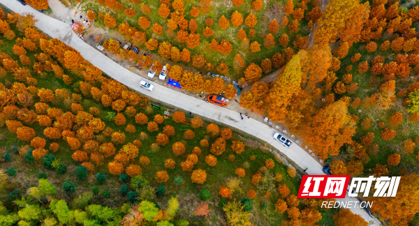 DJI_20251123093009_0056_D.jpg DJI_20251123093009_0056_D.jpg