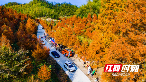 DJI_20251123091715_0020_D.jpg DJI_20251123091715_0020_D.jpg