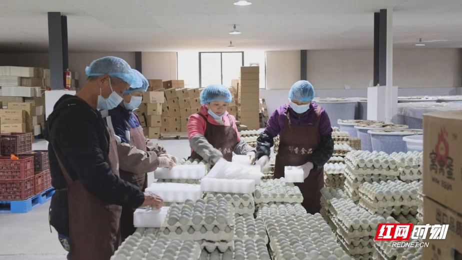 图片11.png 图片11.png