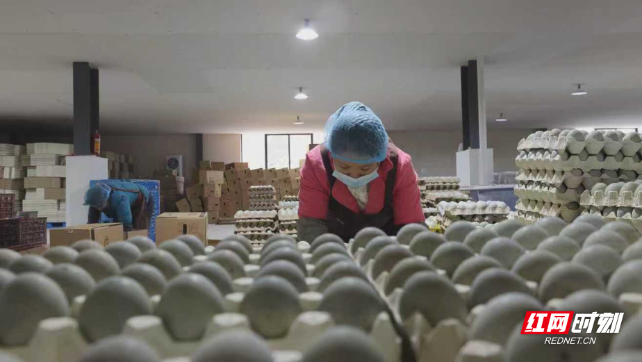 图片10.png 图片10.png