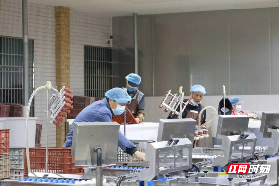 图片9.png 图片9.png