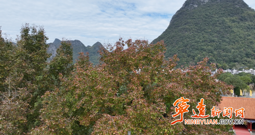 宁远：九嶷山景区枫叶渐红  观赏佳期即将来临_副本500.png