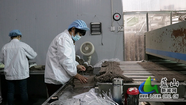 蓝山县楠市镇:坚守十三道匠心面条闯出产业发展新路径2.jpg 蓝山县楠市镇:坚守十三道匠心面条闯出产业发展新路径2.jpg