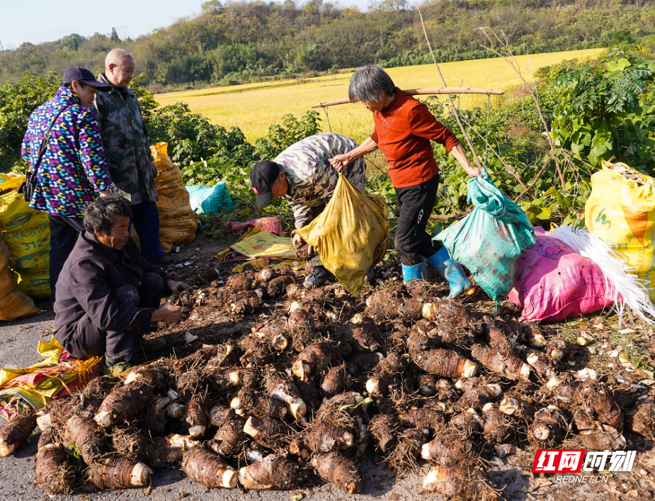 图片4.png 图片4.png