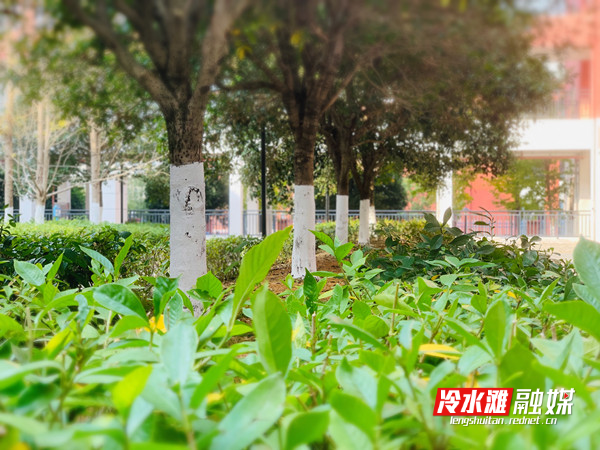 微信图片_20251124095441_248_251.jpg 微信图片_20251124095441_248_251.jpg