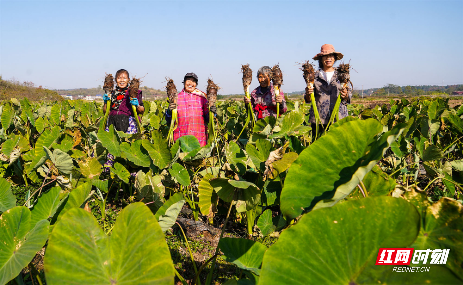 图片4.jpg 图片4.jpg