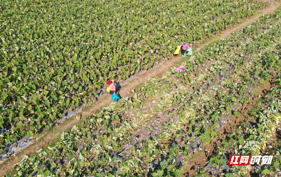 图片5.png 图片5.png