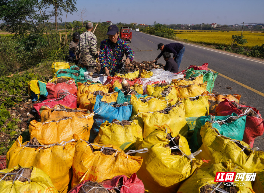 图片9.jpg 图片9.jpg