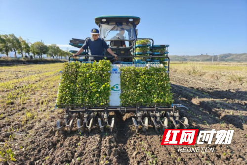 图片2.png 图片2.png