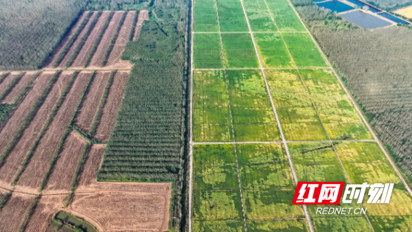 图片3.png 图片3.png