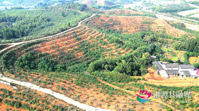 图片1.png 图片1.png