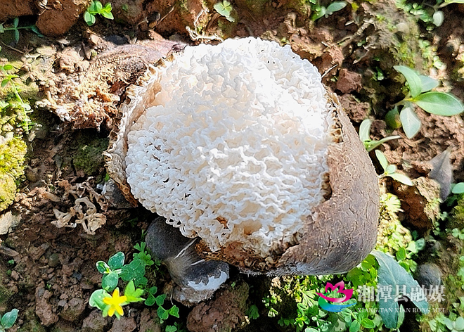 图片5.png 图片5.png