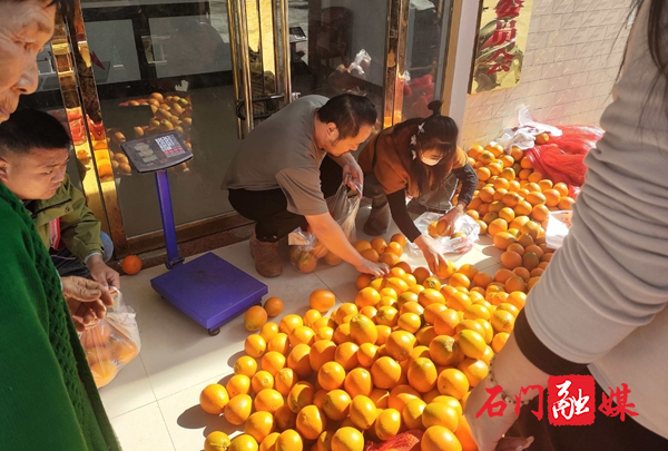 图片1_副本.jpg 图片1_副本.jpg