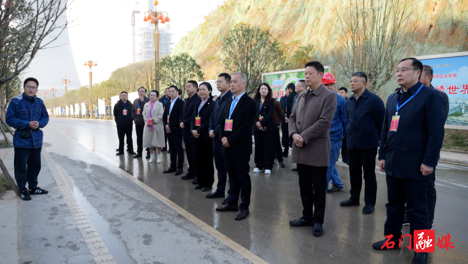县人大常委会集中视察“五好”园区建设情况1.jpg