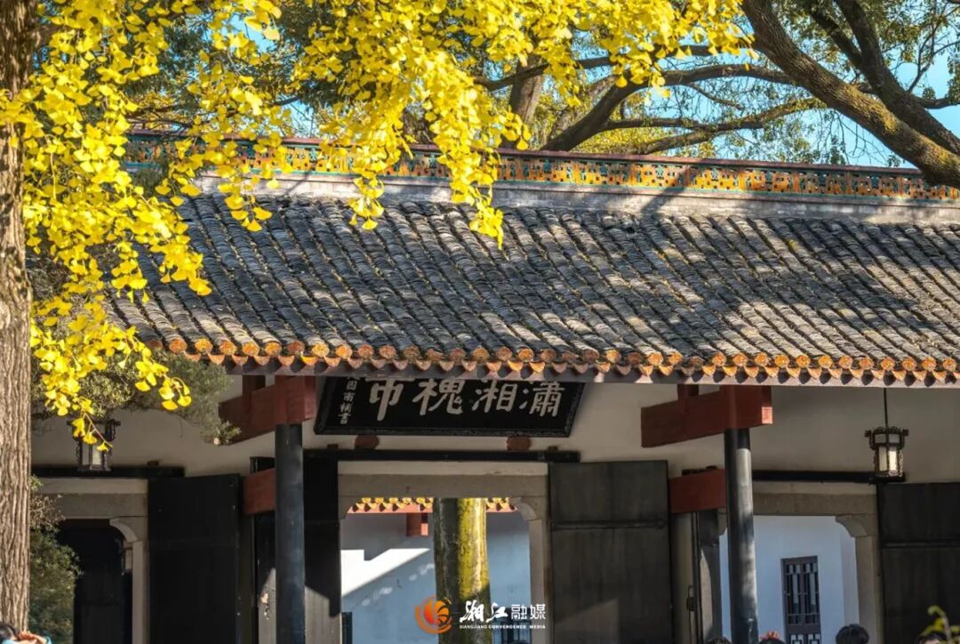 湖南大学3.jpg