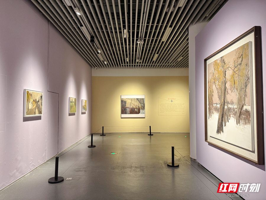 湖南美术馆这场青年艺术家作品展太有料