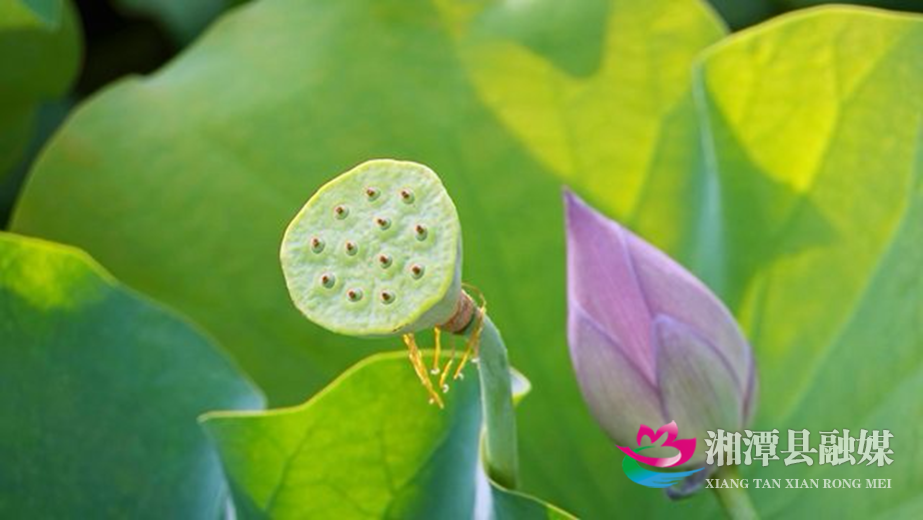 图片222.png 图片222.png