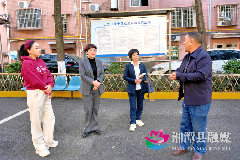 图片333.png 图片333.png