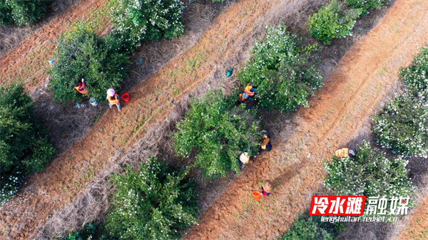 图片2.png 图片2.png