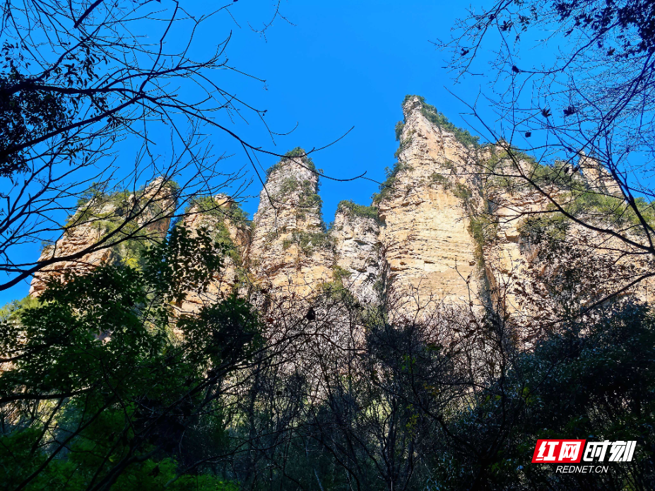 微信图片_20251128142211_1091_214.jpg 微信图片_20251128142211_1091_214.jpg