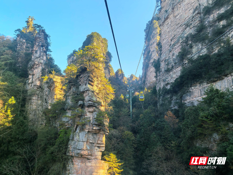 微信图片_20251128142206_1084_214.jpg 微信图片_20251128142206_1084_214.jpg