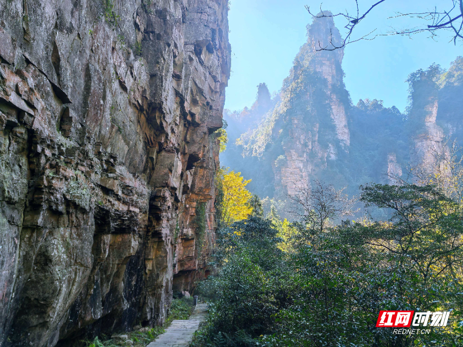 微信图片_20251128142208_1088_214.jpg 微信图片_20251128142208_1088_214.jpg