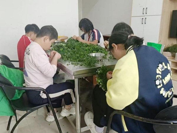 湖南：巾帼送暖传温情 服务基层千万家