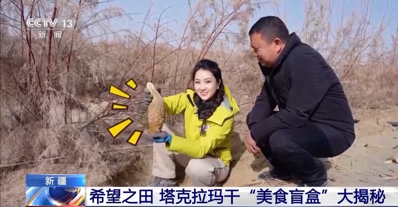 视频丨从“死亡之海”到“水上绿洲”解开新疆