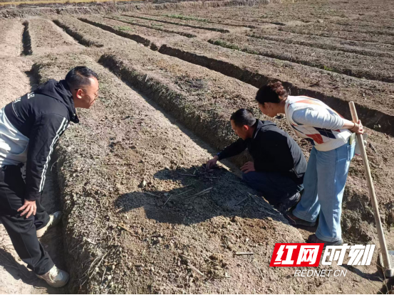 501b76f1-3576-4e61-9c7b-9963e4c038ec.png 501b76f1-3576-4e61-9c7b-9963e4c038ec.png