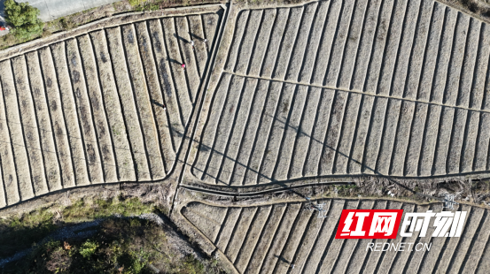 388d74ba-f4d9-40aa-b99e-fa7269ddb85f.png 388d74ba-f4d9-40aa-b99e-fa7269ddb85f.png