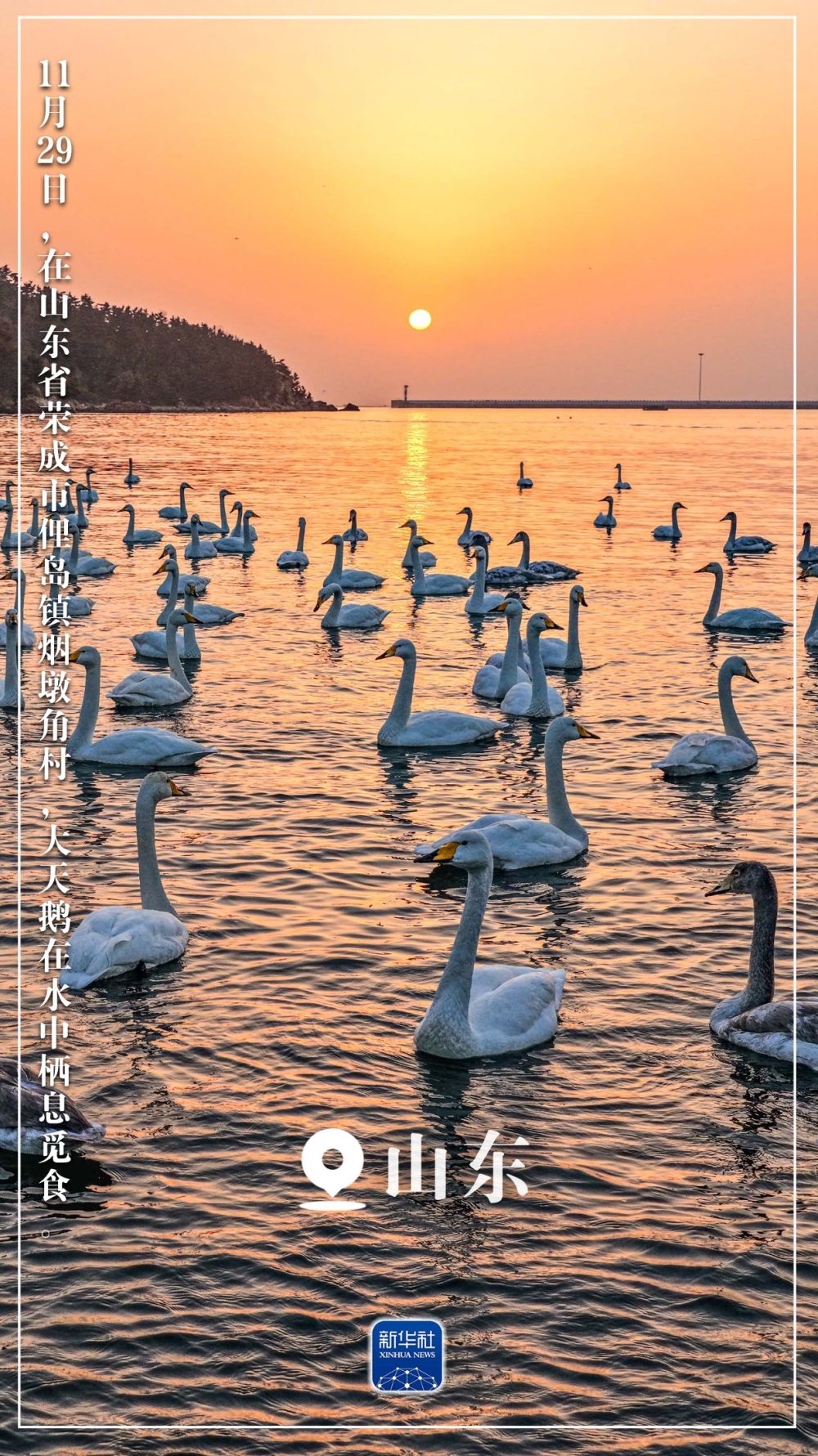 “初冬限定”美景上线！一起来欣赏吧