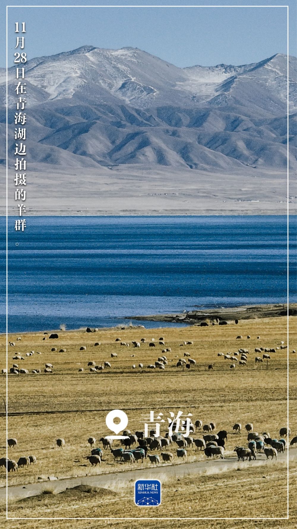 “初冬限定”美景上线！一起来欣赏吧