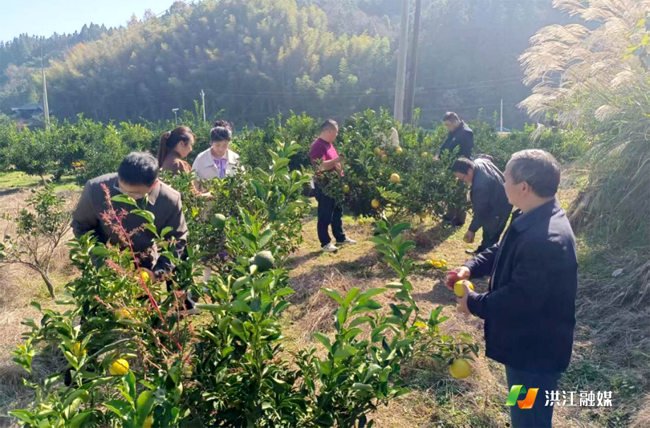 市社科联.png 市社科联.png