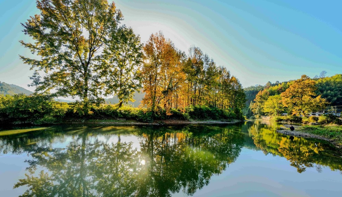 枫红时节，邂逅通道的诗意初冬