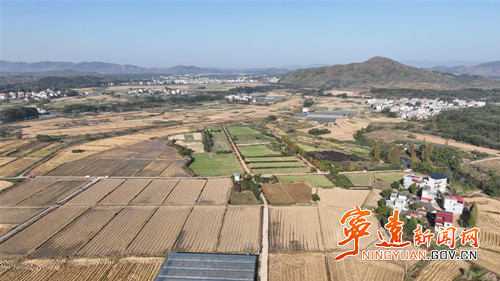 宁远天堂镇:油菜移栽忙 “冬闲田”变“增收田”2_副本500.jpg 宁远天堂镇:油菜移栽忙 “冬闲田”变“增收田”2_副本500.jpg