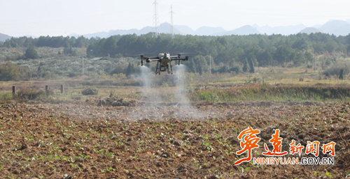 宁远：飞防作业高效护航油菜丰产_副本500.png