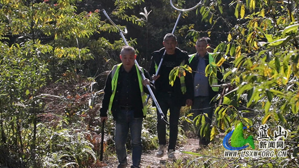 毛俊镇军田村:“千年鸟道”上的护鸟人 用坚守护航候鸟迁徙1.jpg 毛俊镇军田村:“千年鸟道”上的护鸟人 用坚守护航候鸟迁徙1.jpg