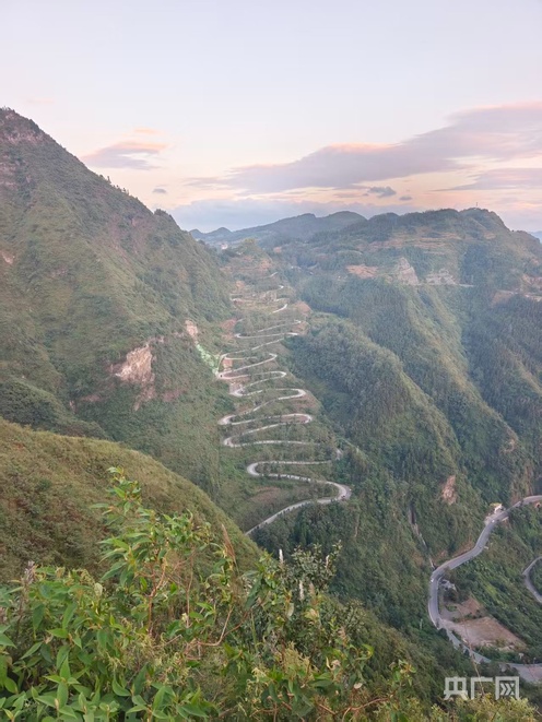 李向忠·风火丹心｜青龙二十