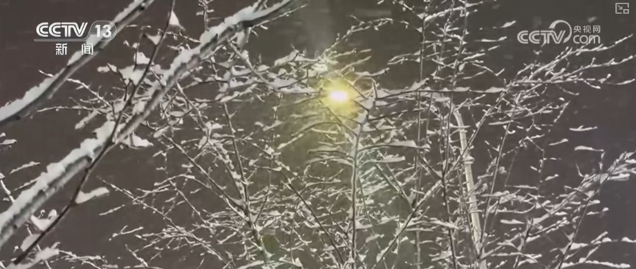 各地细化服务加固大棚、保证热源、加强巡查 办实民生小事保障百姓生产生活