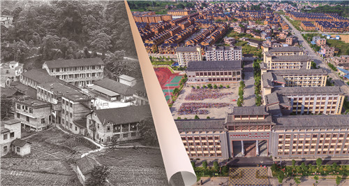 1764633864269068.jpg 对比照8.jpg