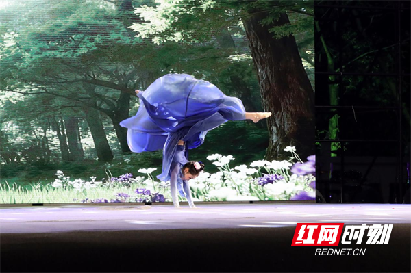 图片11.png 图片11.png