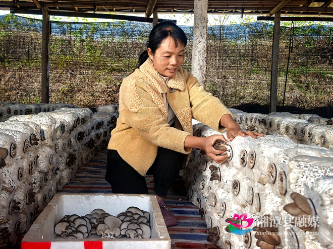 图片4.png 图片4.png