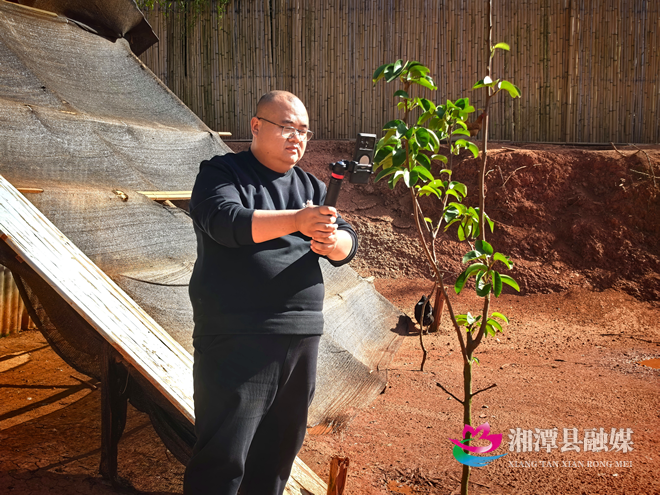 图片5.png 图片5.png